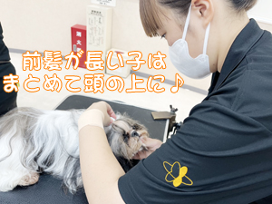 リボンの下地、ラッピングを強化！